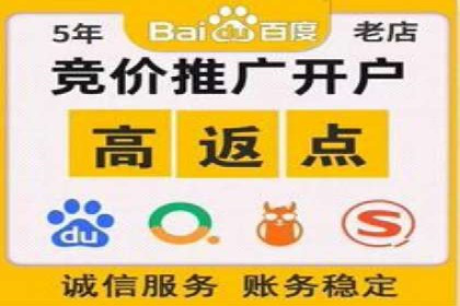 SEM竞价代运营成功案例解析
